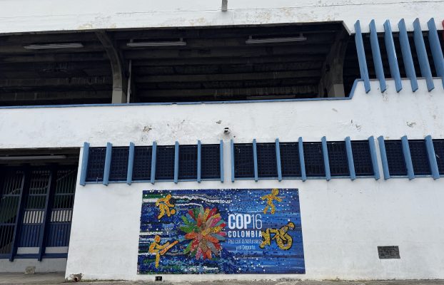 De eventos a ecosistemas: el verdadero reto del deporte de playa